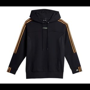 Adidas Ivy Park Hoodie Drip 2.2